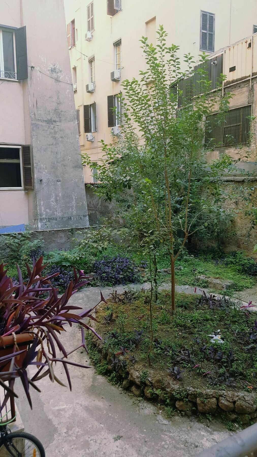 Marcelina Vaticans Rooms Rzym Zewnętrze zdjęcie